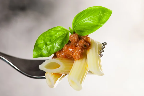 Fresh cooked pasta on fork with bolognese sauce and green basil
