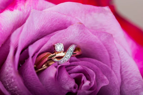 Gold diamond engagement ring in beautiful pink rose