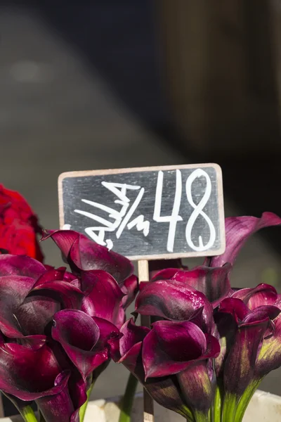 Outdoor flower market in Copenhagen, Denmark.