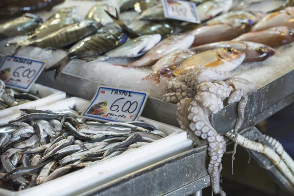 Fresh fish in the fish market - Greece