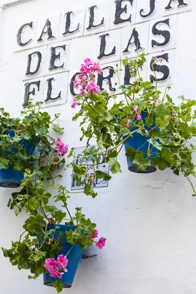Streets decorated with flowers and barred windows typical of the