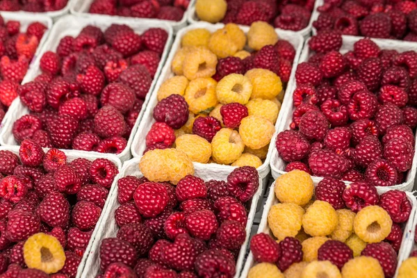 Red and yellow raspberries in boxes at local farm market