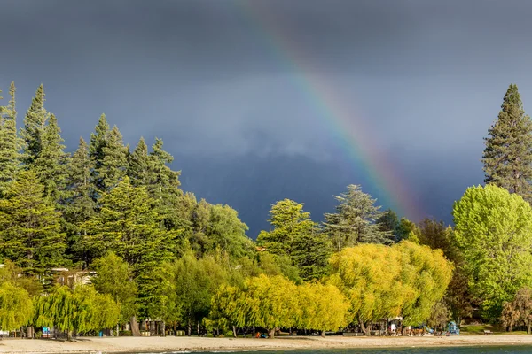 Rainbow over forest at cloudy day in New Zealand.