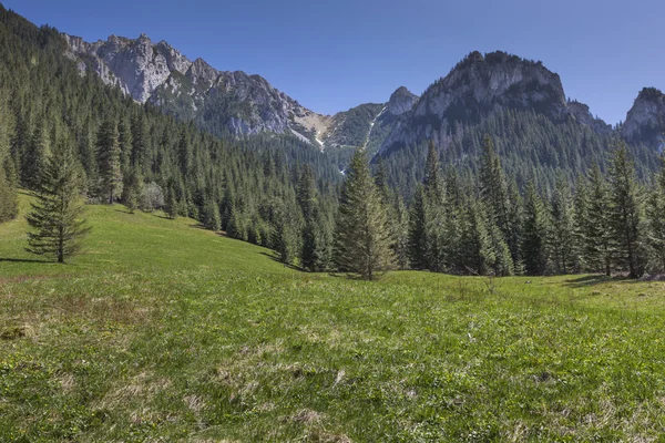 Panorama of Tatra Mountains in spring time, Poland