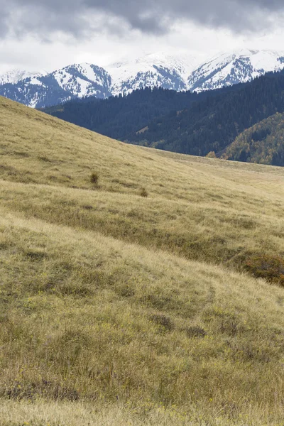 Picturesque landscape in Tien Shan mountains in Kyrgyzstan.