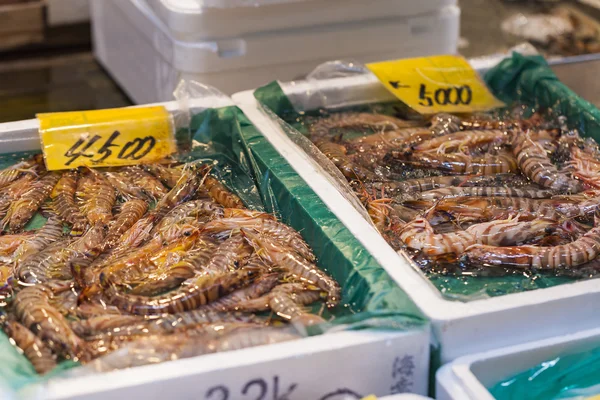 Raw seafood selling on market in Japan