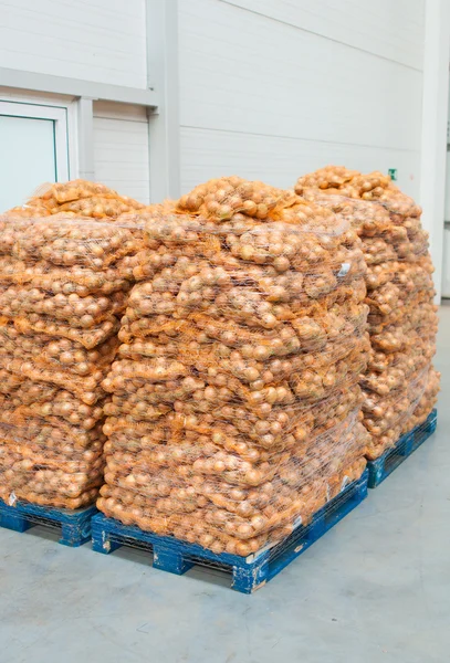 Onions on pallets