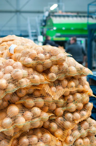 [Obrazek: depositphotos_54984799-onion-bags.jpg]