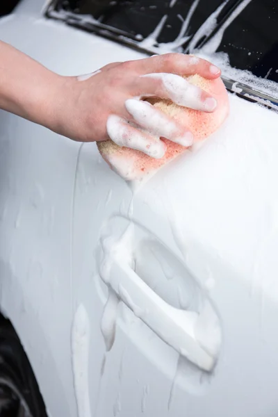 Male hand washing car with sponge and foam