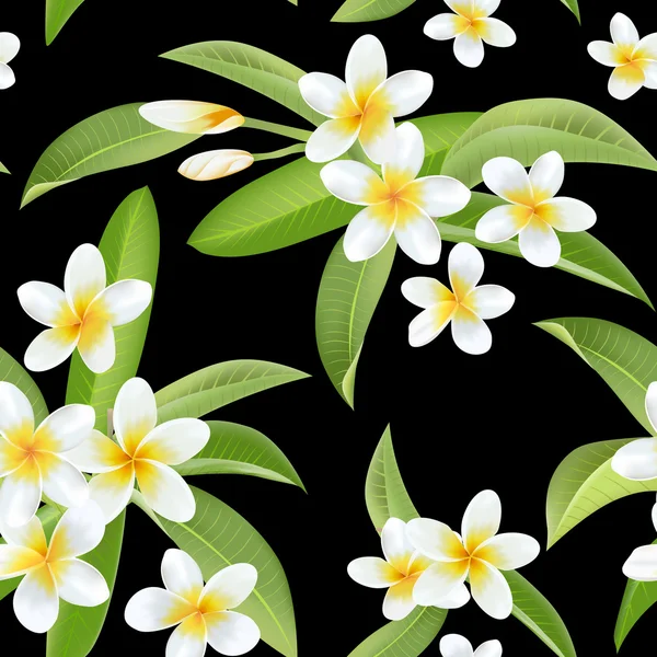 Tropical Flowers and Leaves Pattern. Seamless Background. Exotic Plumeria Flower.