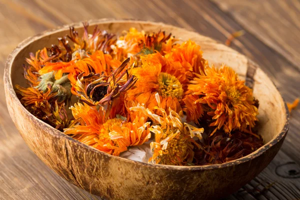 Calendula homeopathic. Homeopathic medicine, calendula dry flowers and wooden surface.
