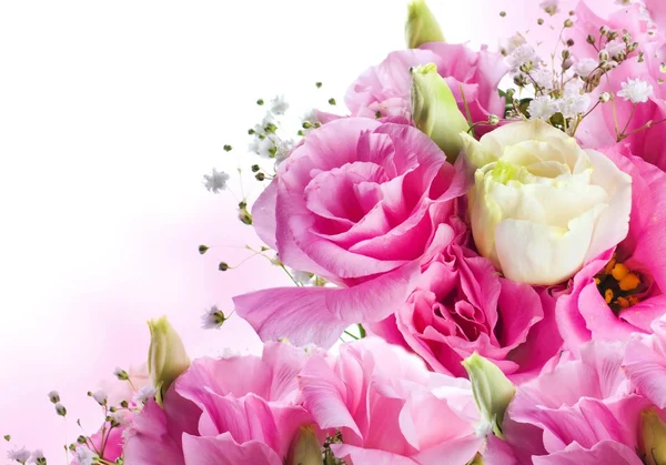 Natural roses background