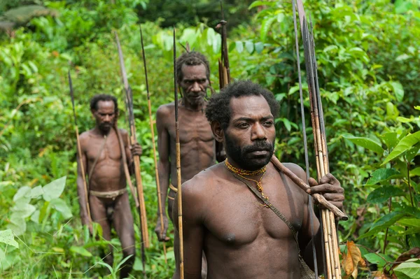 Oceania, Indonesia, Irian Jaya. Korowai tribe.