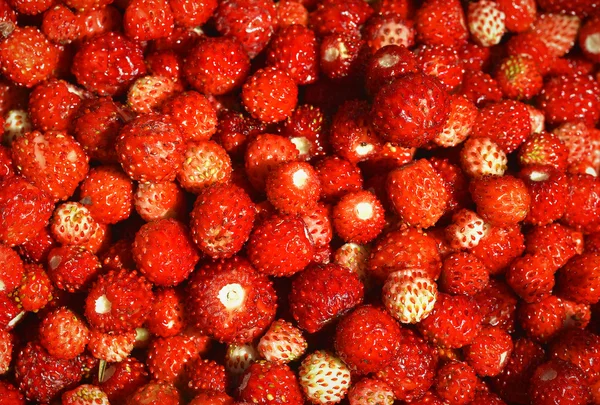 Wild strawberries  background