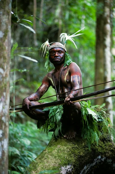 The warrior of a Papuan tribe of Yafi