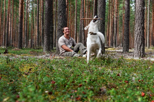 Man with the dog in the pine forest