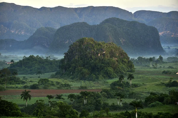 View across the Vinales Valley in Cuba. Morning twilight and fog.