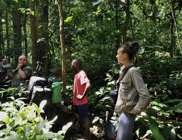Beautiful girl with Group of tourists in Congo jungle near by  Mondica camp.