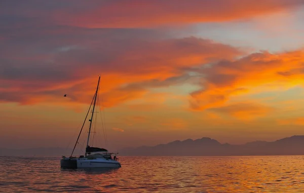 Sailing catamaran at the ocean