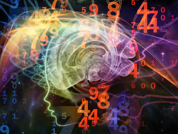 Numbers of the Mind