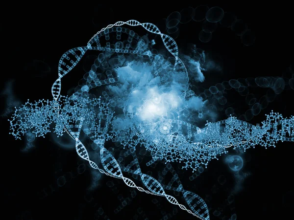 Inner Life of DNA