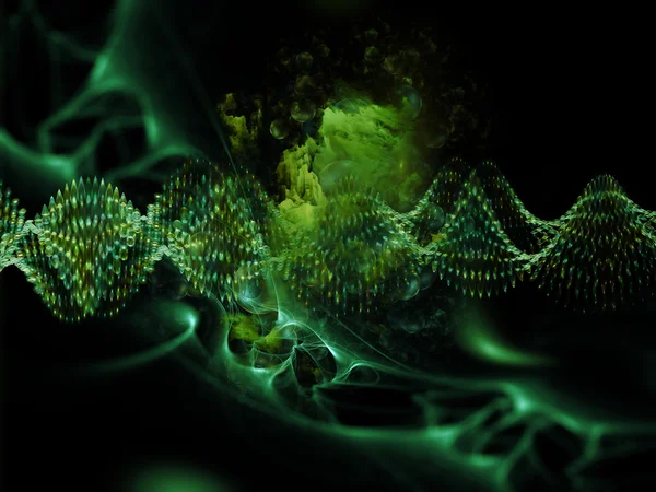 Inner Life of DNA