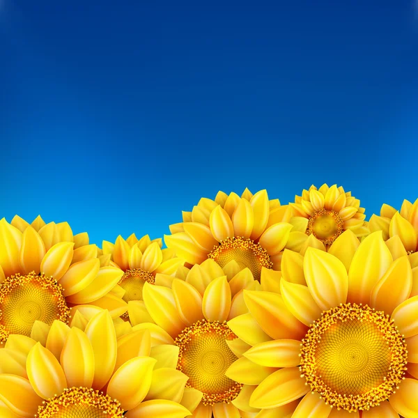 Field of sunflowers and blue sky. EPS 10