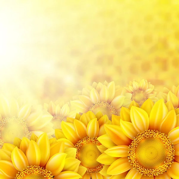 Sunflower petals with summer sun. EPS 10