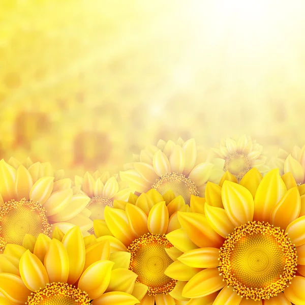 Sunflower petals with summer sun. EPS 10