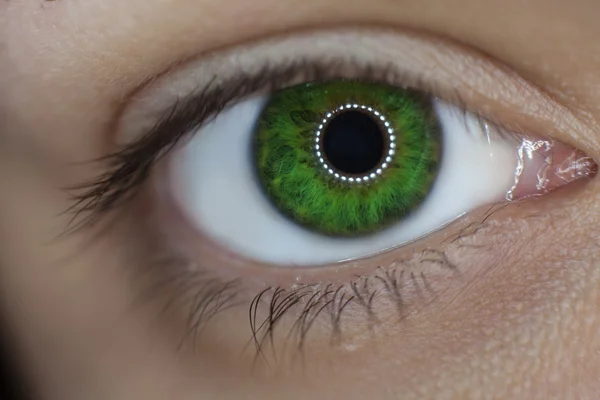 Woman green eye closeup