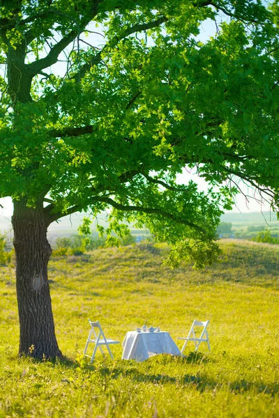 Outdoor in spring, white table