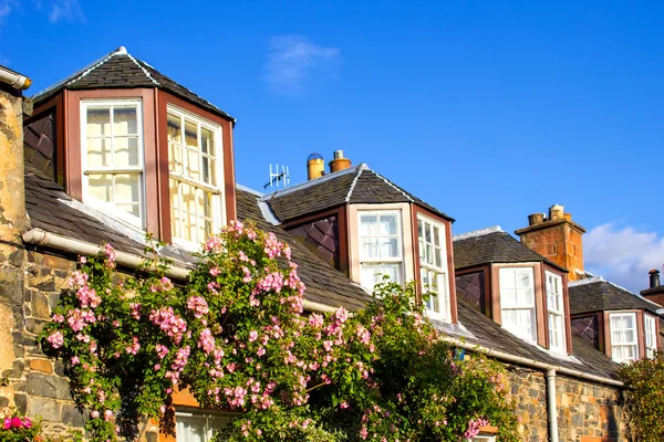 A house with pink climbing roses