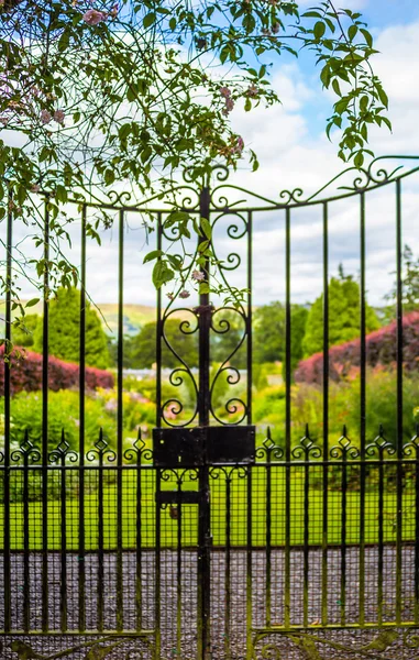 Beautiful, old garden gate with climbing ivy