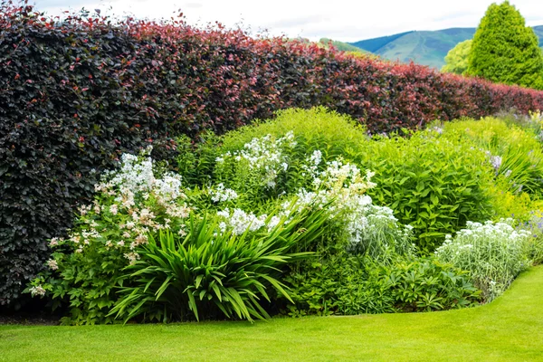 Beautiful walled garden, UK