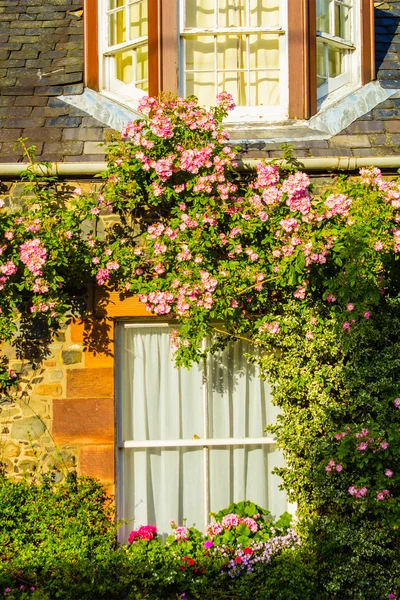 A house with pink climbing roses