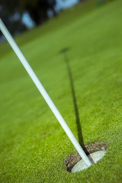 Golf flag in green hole