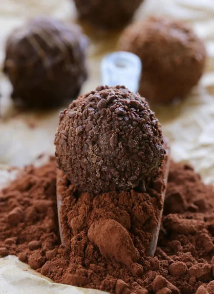 Natural cocoa powder with chocolate candy truffle in a ceramic scoop