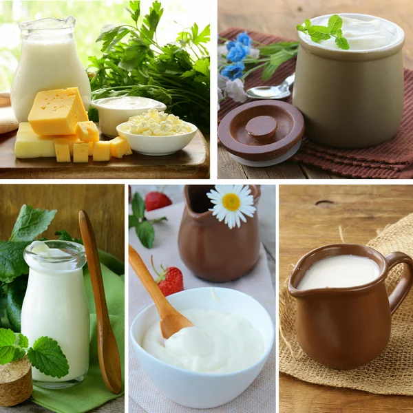 Collage of assorted dairy products (milk, cheese, yogurt, sour cream)