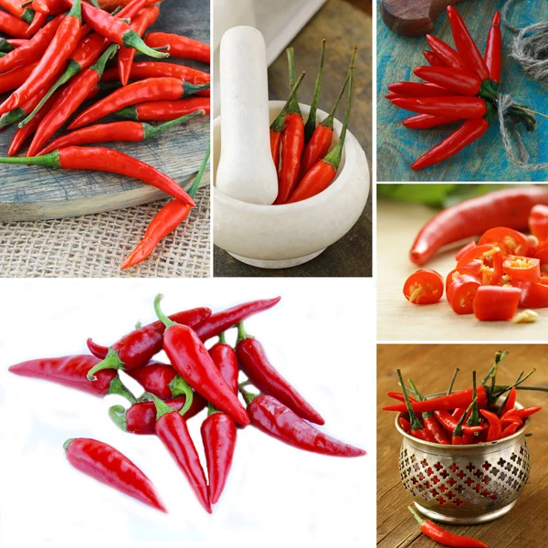 Collage of organic hot red chili pepper