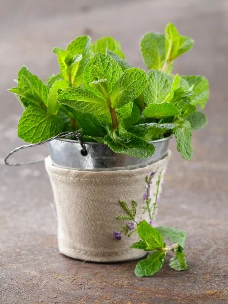 Bunch of fresh green fragrant mint on a wooden table