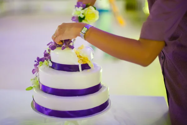 Cutting the wedding cake