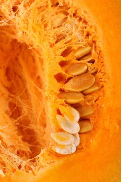 Closeup of ripe pumpkin