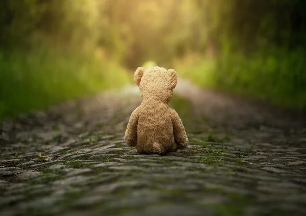 Lonely teddy bear