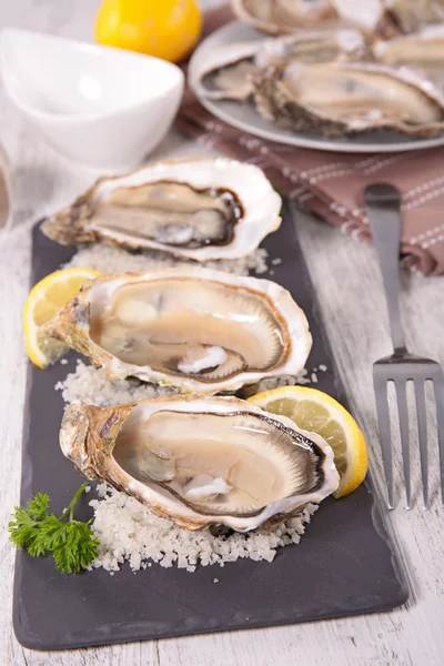 Fresh oysters with salt