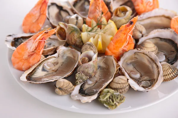 Shrimps, clams and oysters