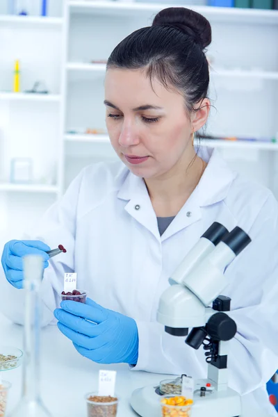 Laboratory assistant in the laboratory of of food quality.Cell culture assay to test genetically modified seed