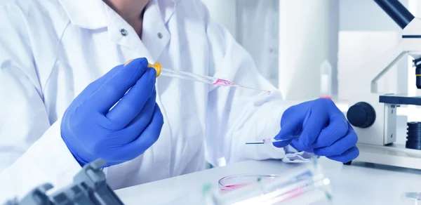 Young Female Scientist Analyzing Sample In Laboratory.laboratory assistant analyzing a sample.