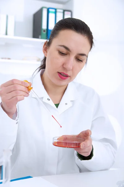 Young Female Scientist Analyzing Sample In Laboratory.laboratory assistant analyzing a sample.