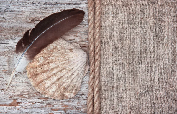 Grunge background with big seashell, rope and feather on sackclo