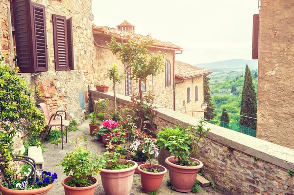 Terrace with flowers in an ancient italian house.